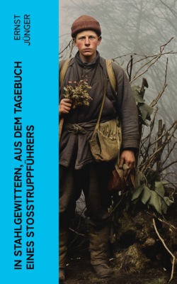 In Stahlgewittern, aus dem Tagebuch eines Stoßtruppführers