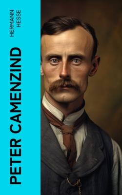 Peter Camenzind