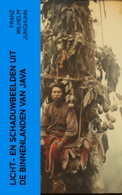 Licht- en schaduwbeelden uit de Binnenlanden van Java