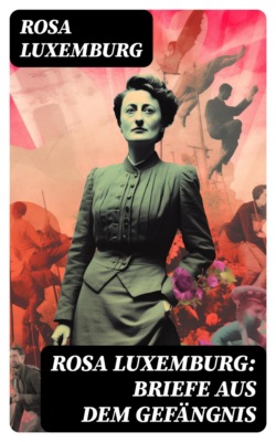Rosa Luxemburg: Briefe aus dem Gefängnis