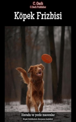 Köpek Frizbisi