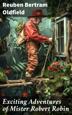 Exciting Adventures of Mister Robert Robin