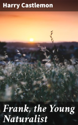 Frank, the Young Naturalist