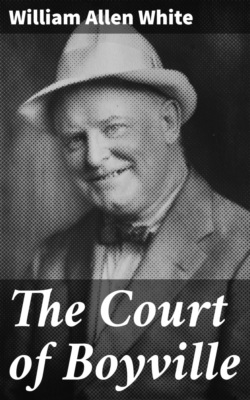 The Court of Boyville
