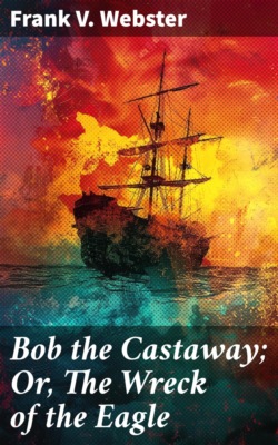 Bob the Castaway; Or, The Wreck of the Eagle