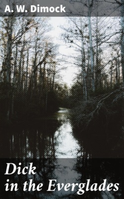 Dick in the Everglades