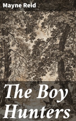 The Boy Hunters