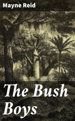 The Bush Boys
