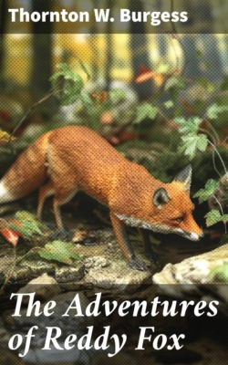 The Adventures of Reddy Fox