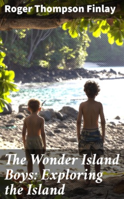 The Wonder Island Boys: Exploring the Island