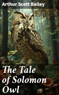 The Tale of Solomon Owl