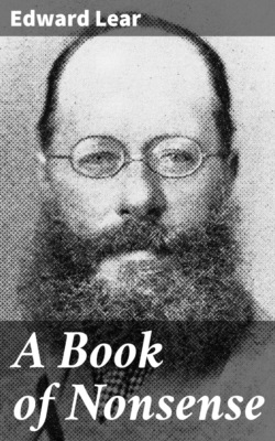 A Book of Nonsense