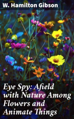Eye Spy: Afield with Nature Among Flowers and Animate Things
