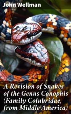 A Revision of Snakes of the Genus Conophis (Family Colubridae, from Middle America)