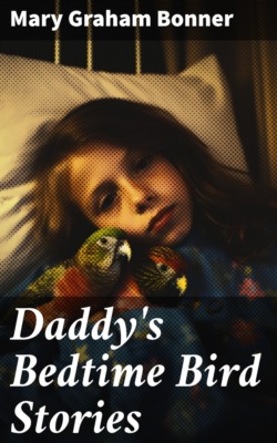 Daddy's Bedtime Bird Stories