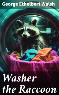 Washer the Raccoon