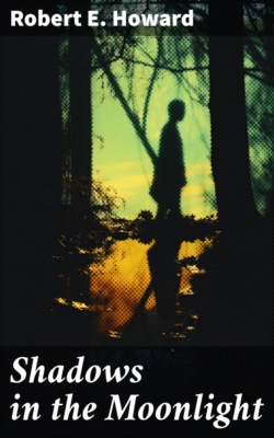 Shadows in the Moonlight