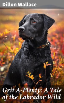 Grit A-Plenty: A Tale of the Labrador Wild