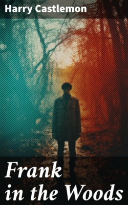 Frank in the Woods