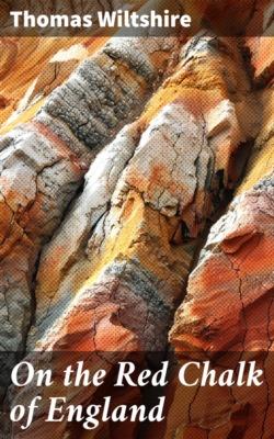 On the Red Chalk of England