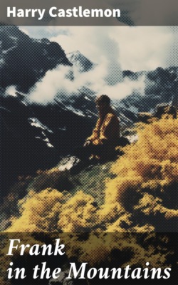 Frank in the Mountains
