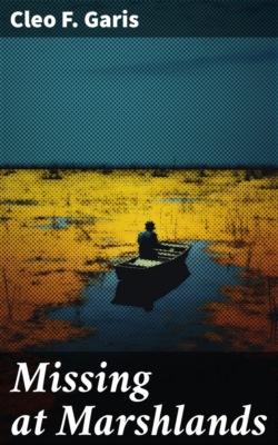 Missing at Marshlands