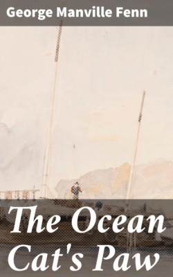 The Ocean Cat's Paw