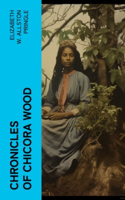 Chronicles of Chicora Wood