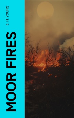 Moor Fires