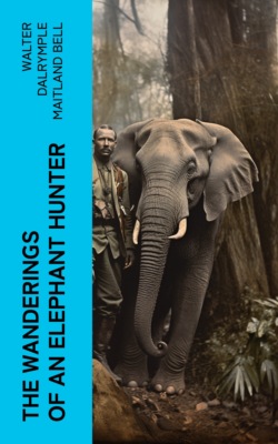 The Wanderings of an Elephant Hunter