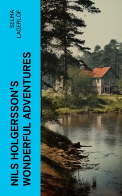Nils Holgersson's Wonderful Adventures