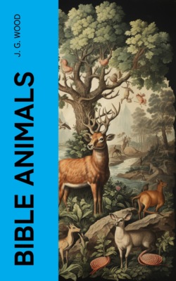 Bible Animals