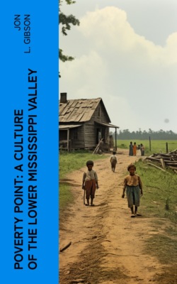 Poverty Point: A Culture of the Lower Mississippi Valley
