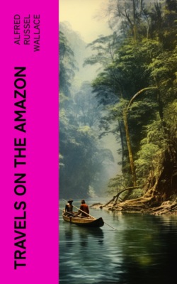 Travels on the Amazon