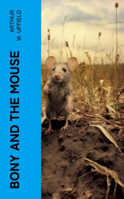 Bony and the Mouse