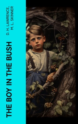 The Boy in the Bush