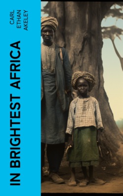 In Brightest Africa