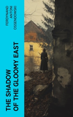 The Shadow of the Gloomy East