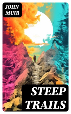 Steep Trails