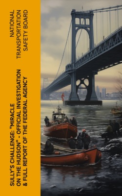 Sully's Challenge: "Miracle on the Hudson" – Official Investigation & Full Report of the Federal Agency