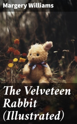The Velveteen Rabbit (Illustrated)