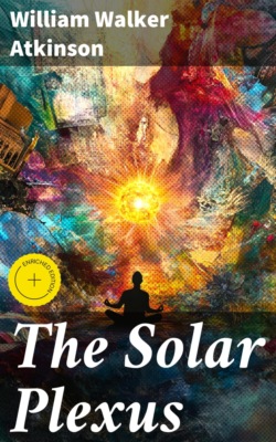 The Solar Plexus