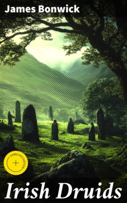 Irish Druids