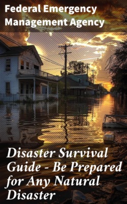 Disaster Survival Guide – Be Prepared for Any Natural Disaster
