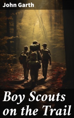 Boy Scouts on the Trail
