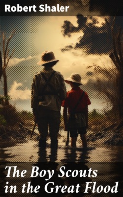 The Boy Scouts in the Great Flood