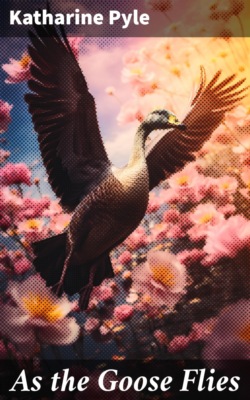 As the Goose Flies
