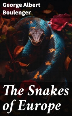 The Snakes of Europe