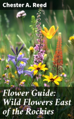 Flower Guide: Wild Flowers East of the Rockies