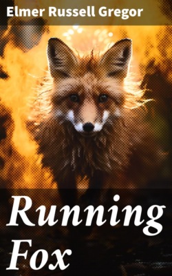Running Fox